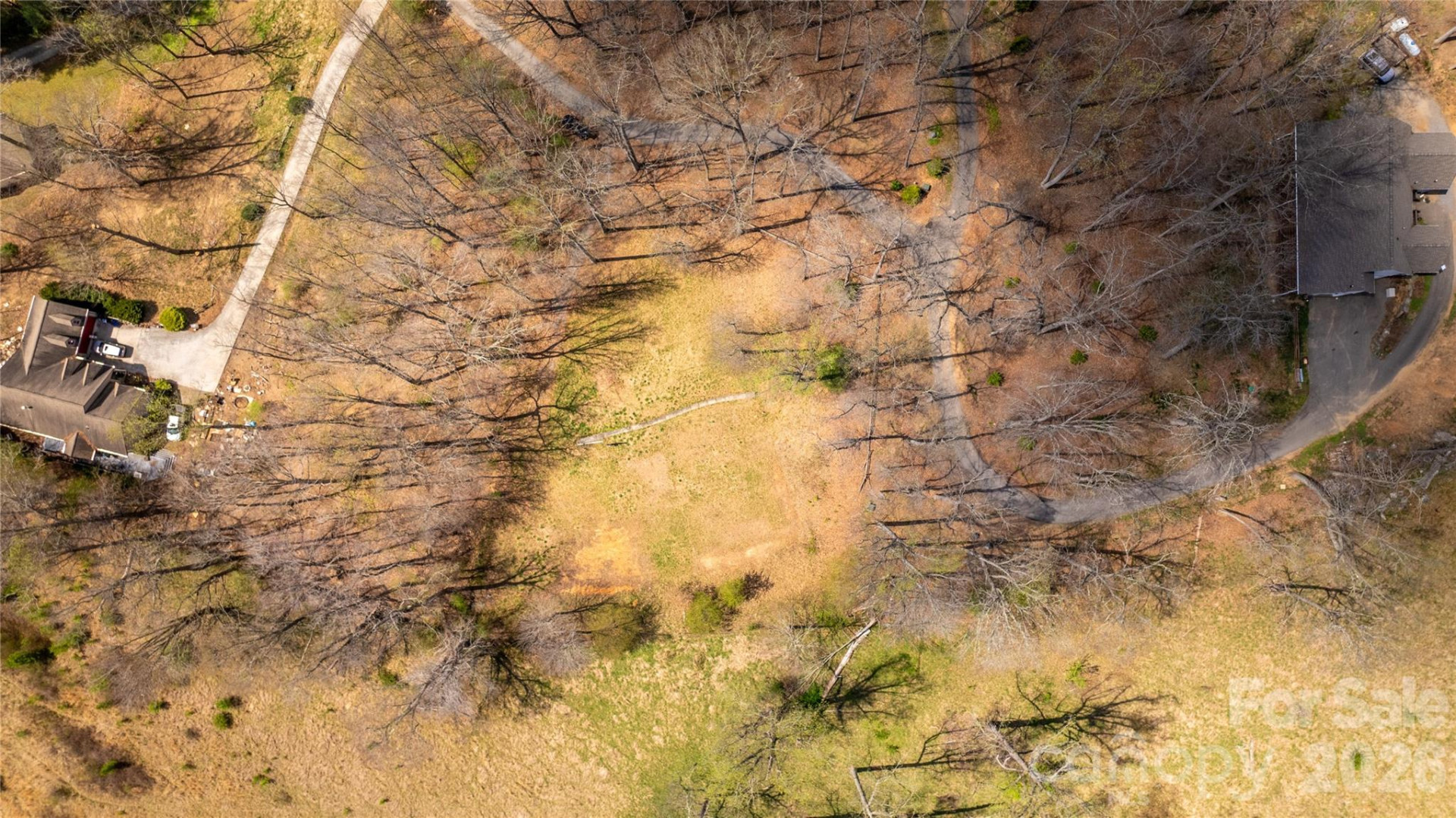 90 Last Coyote Trail - Photo 8