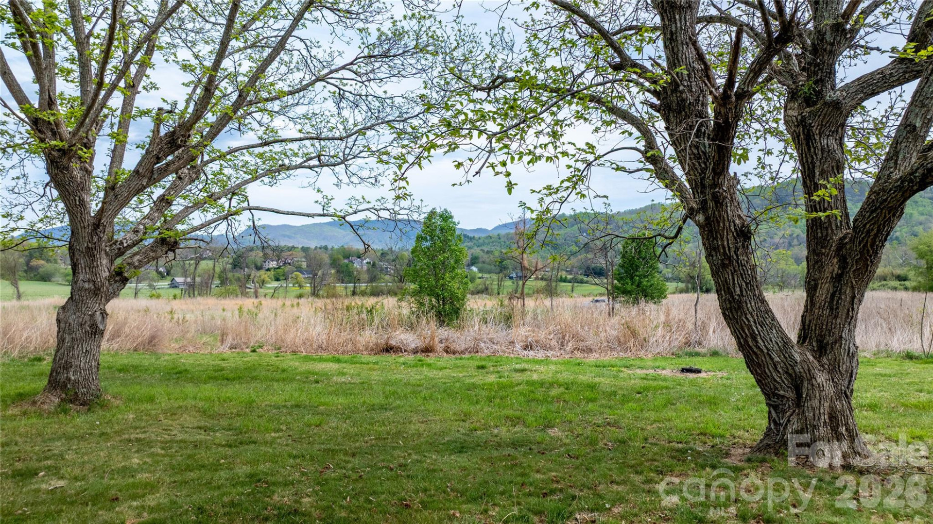 1720 Cane Creek Road - Photo 12