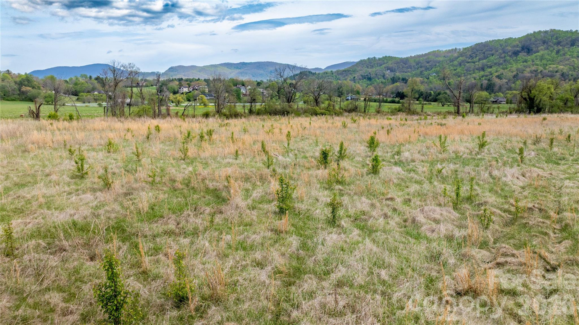 1720 Cane Creek Road - Photo 13
