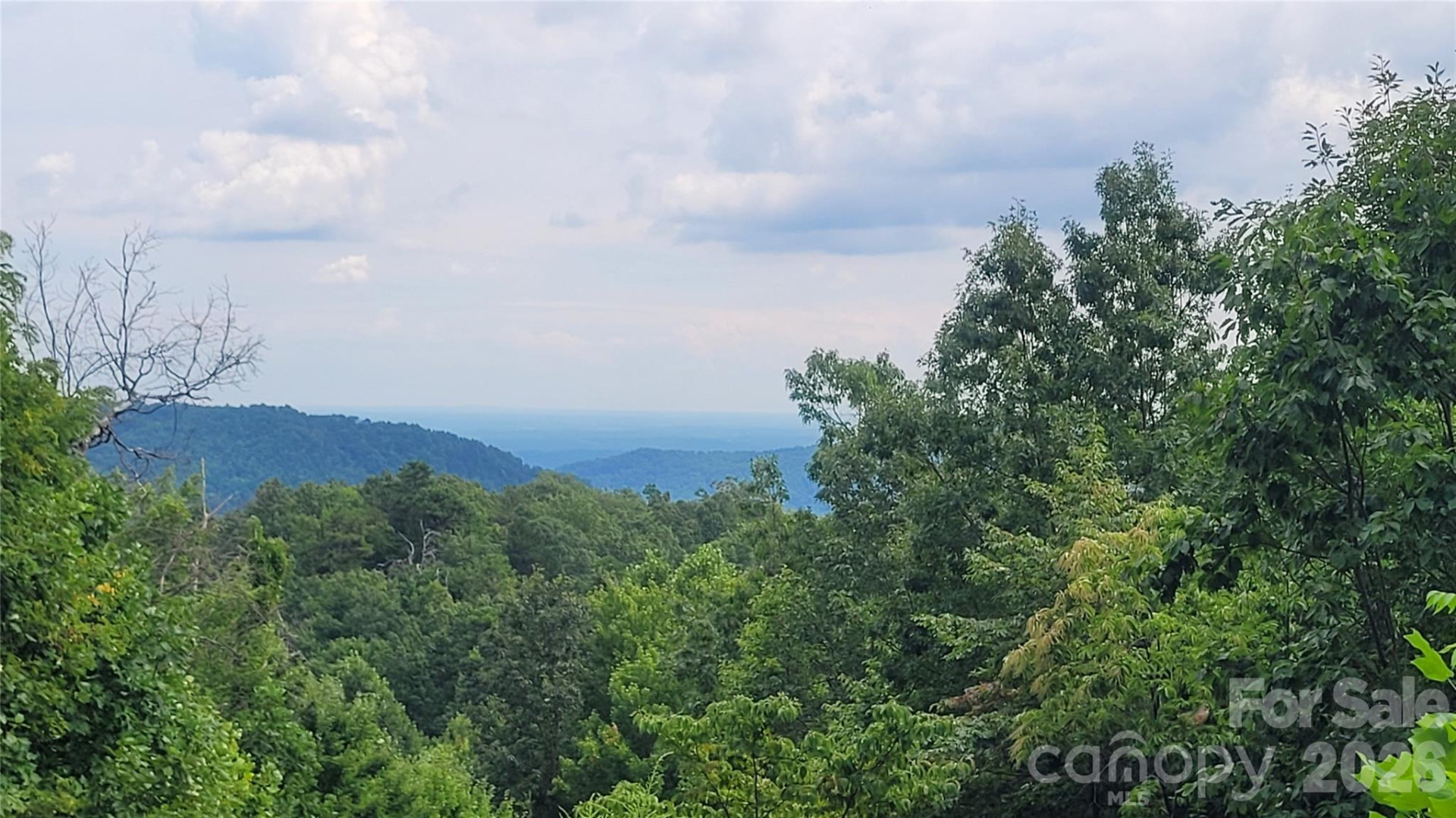 542 & 545A McKenzie Way #542 & 545 - Photo 2