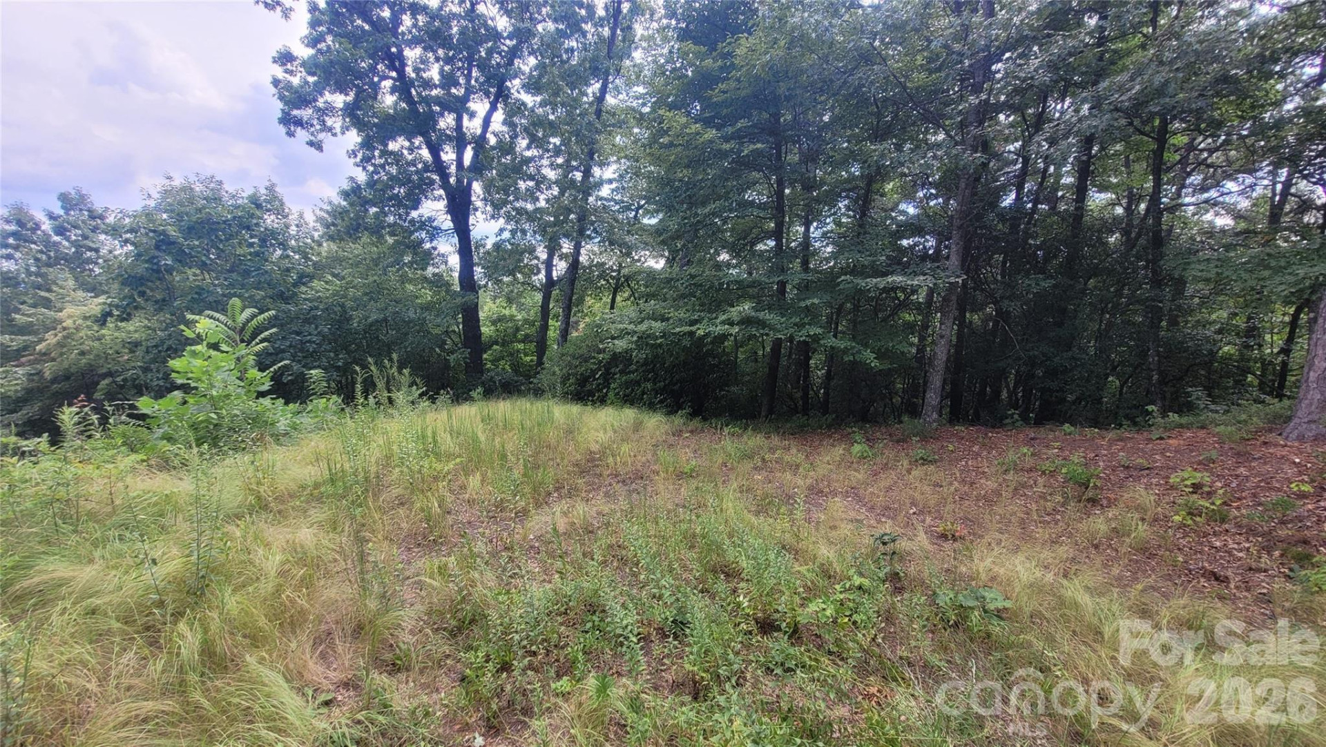 542 & 545A McKenzie Way #542 & 545 - Photo 3