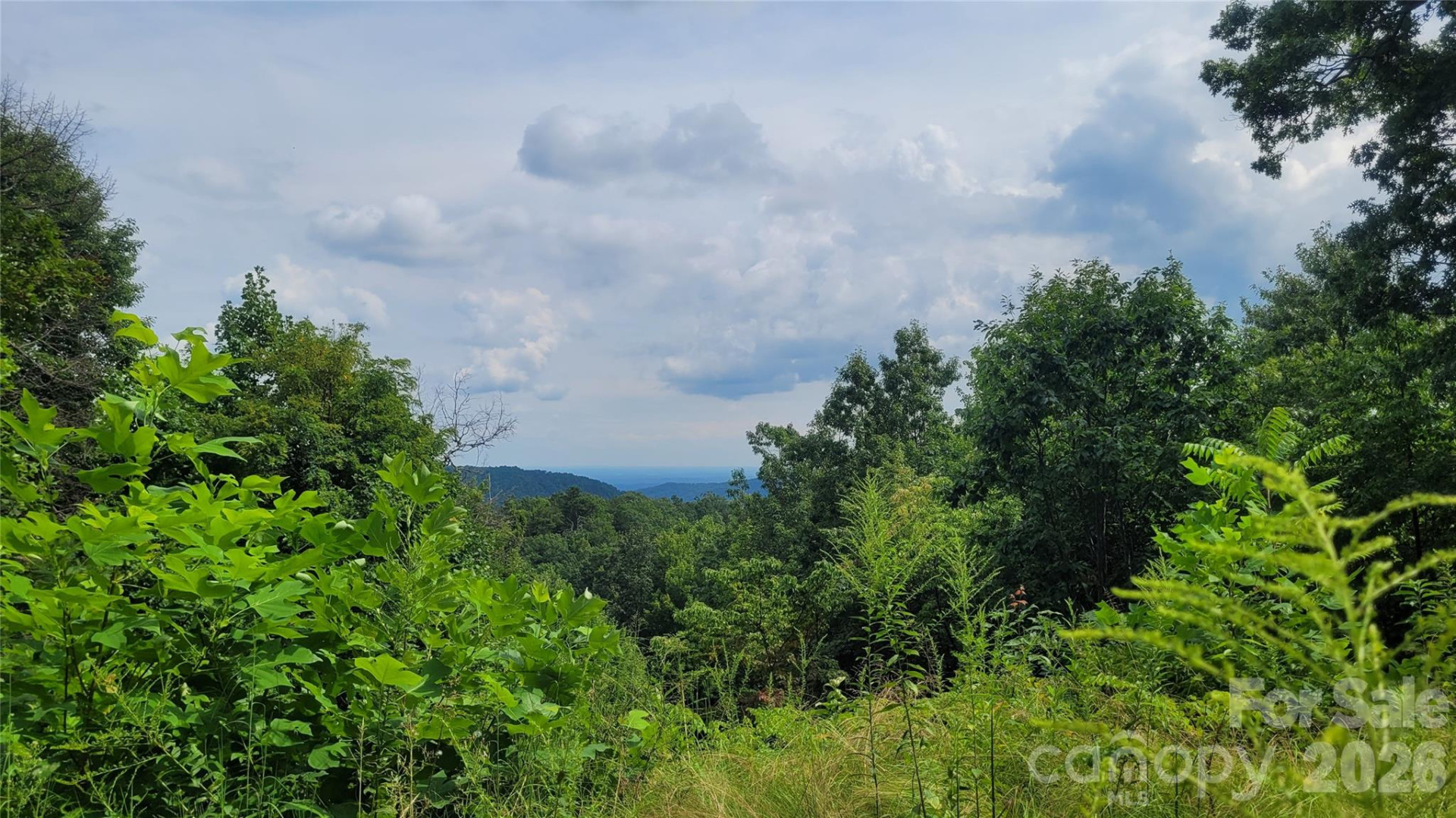 542 & 545A McKenzie Way #542 & 545 - Photo 4