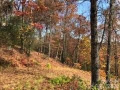 542 & 545A McKenzie Way #542 & 545 - Photo 5