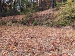 542 & 545A McKenzie Way #542 & 545 - Photo 6