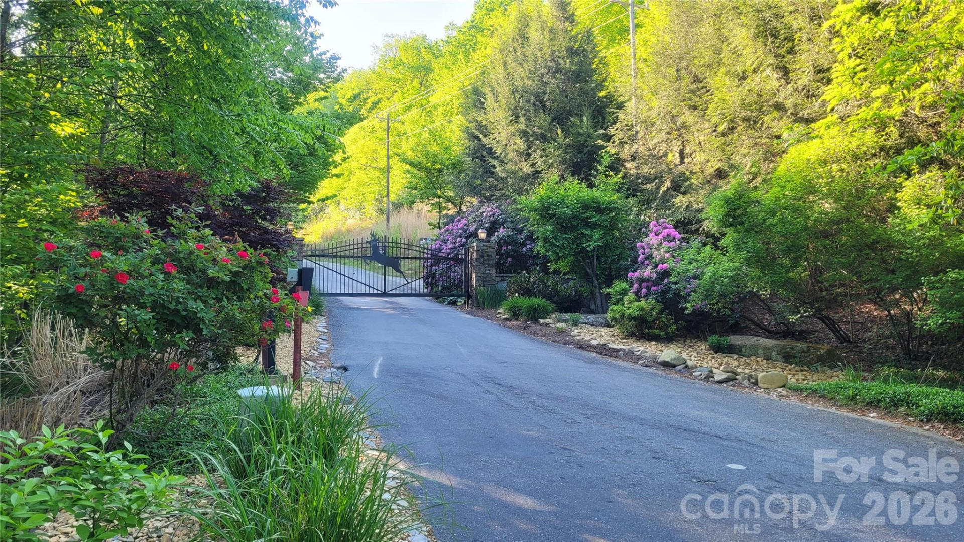 542 & 545A McKenzie Way #542 & 545 - Photo 8