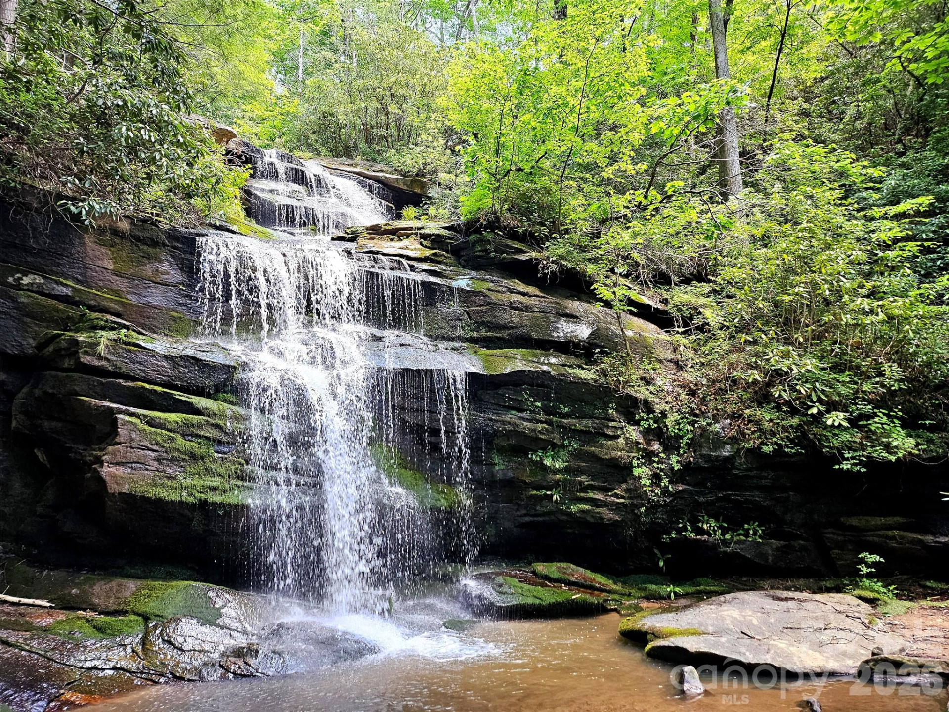 542 & 545A McKenzie Way #542 & 545 - Photo 10