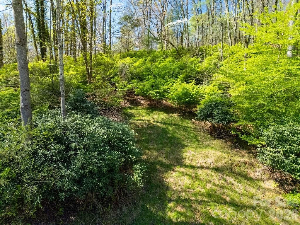 1482 Island Ford Road - Photo 45