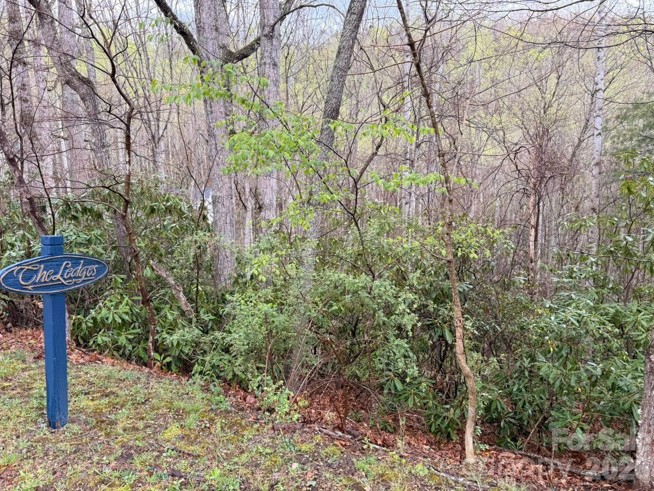 000 Ridgeview Drive - Photo 2