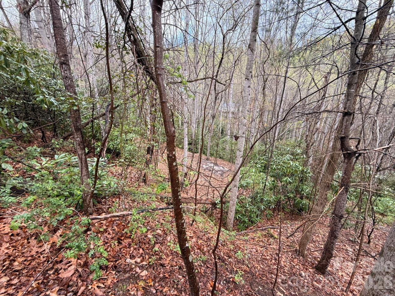 000 Ridgeview Drive - Photo 11