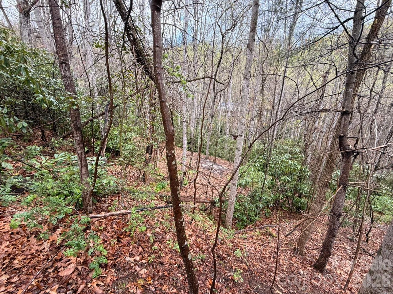 000 Ridgeview Drive - Photo 11