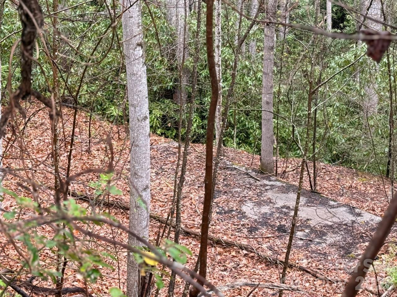 000 Ridgeview Drive - Photo 12