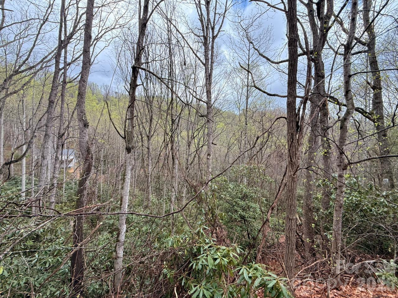 000 Ridgeview Drive - Photo 13