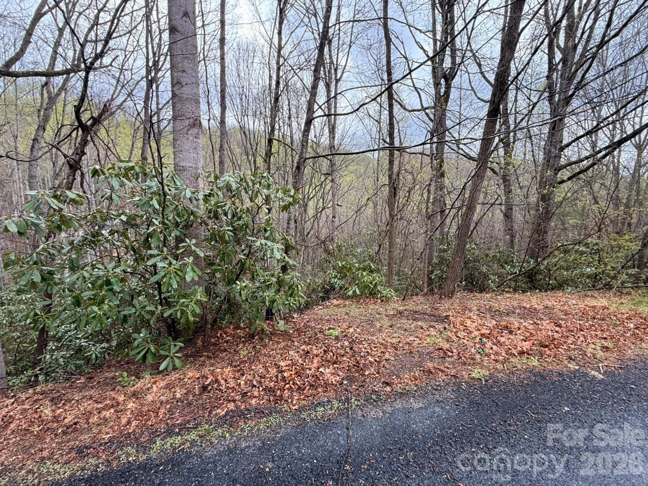 000 Ridgeview Drive - Photo 14