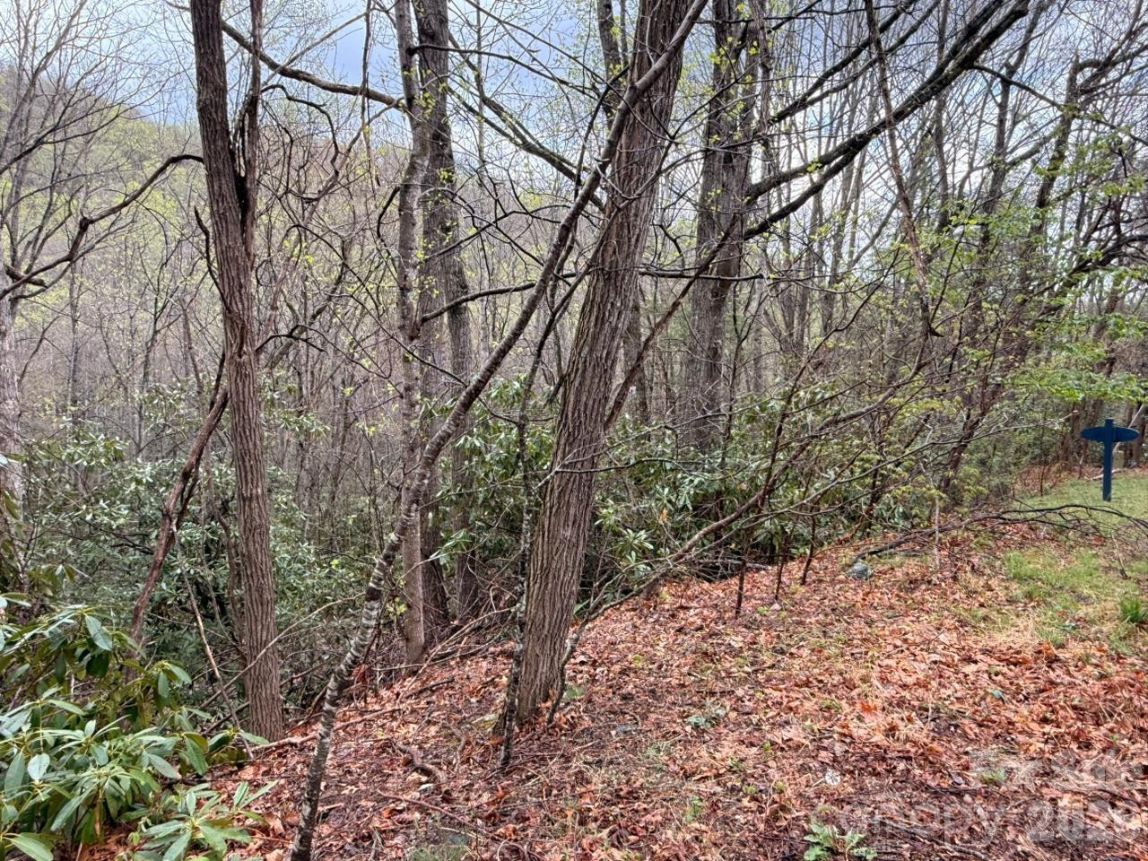 000 Ridgeview Drive - Photo 16