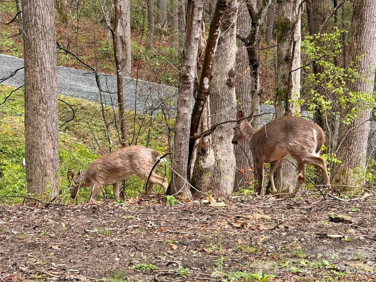 000 Ridgeview Drive - Photo 20