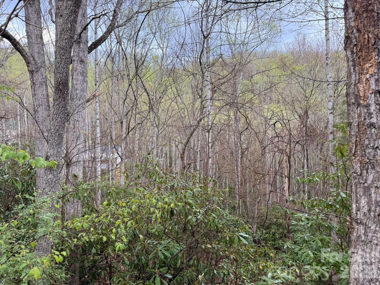 000 Ridgeview Drive - Photo 3