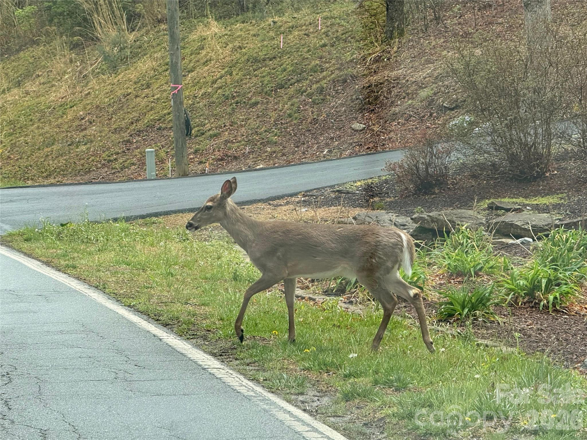 000 Ridgeview Drive - Photo 21