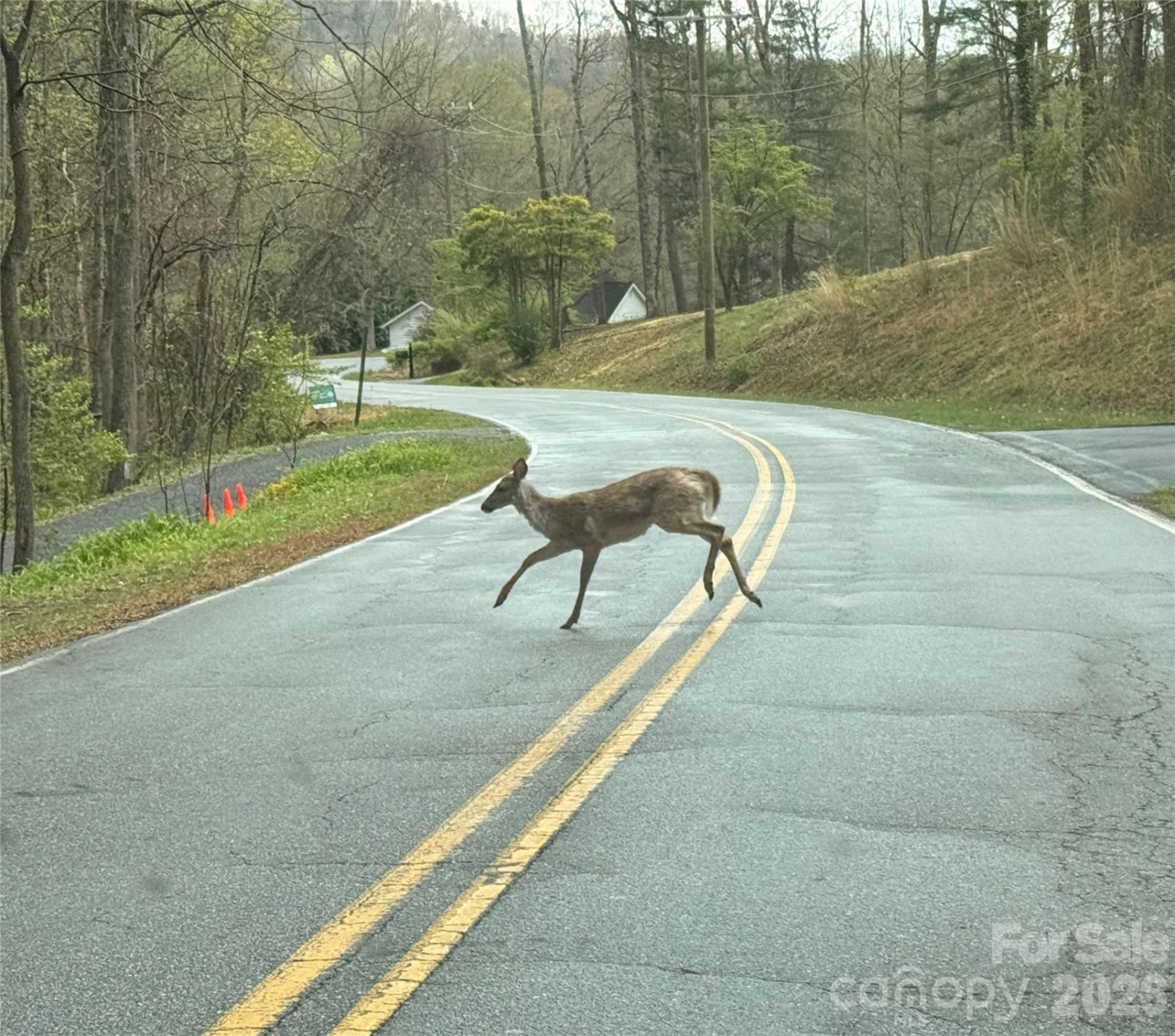 000 Ridgeview Drive - Photo 22