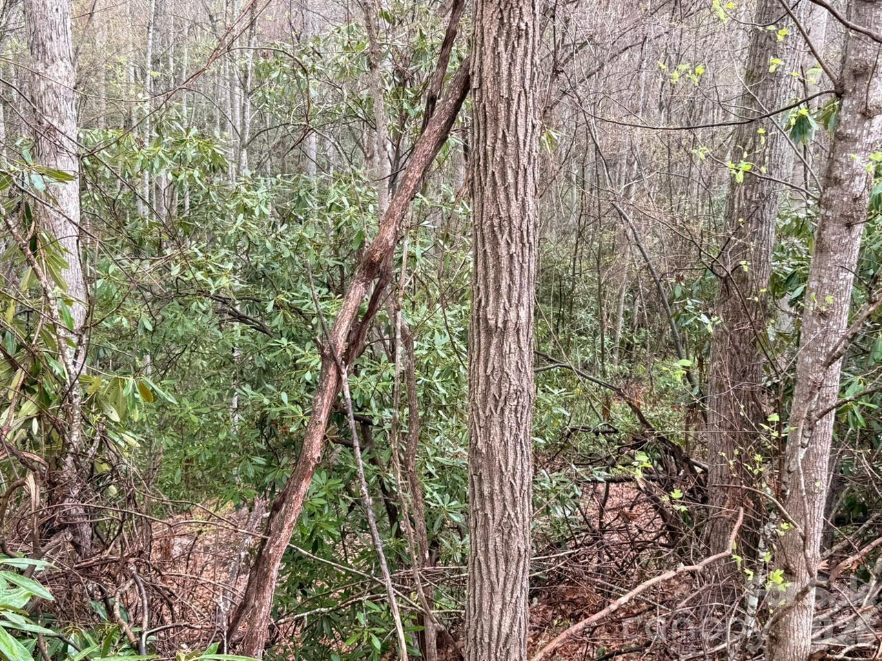 000 Ridgeview Drive - Photo 4