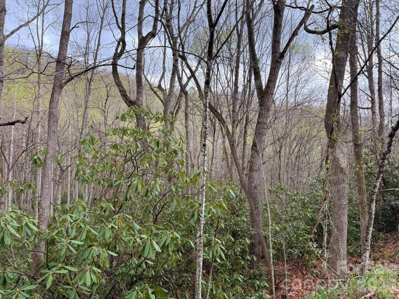 000 Ridgeview Drive - Photo 5