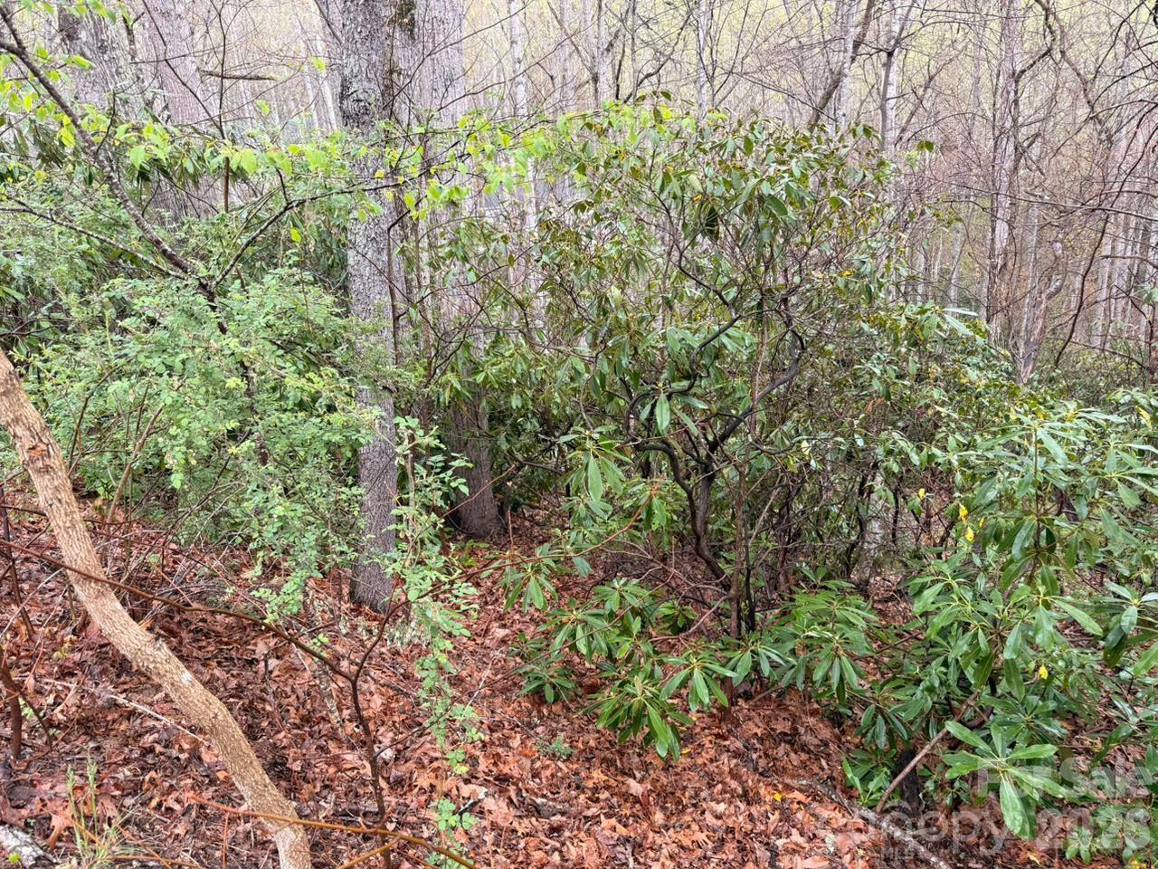 000 Ridgeview Drive - Photo 6