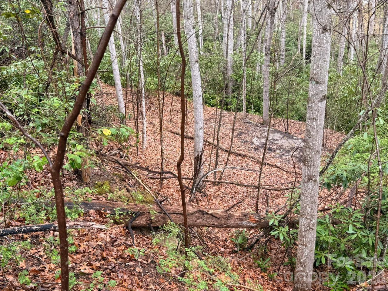 000 Ridgeview Drive - Photo 7