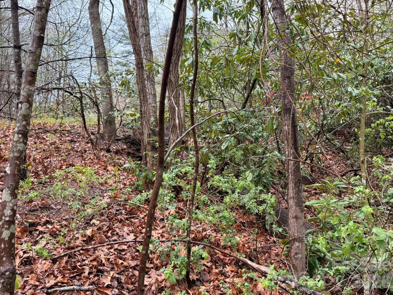 000 Ridgeview Drive - Photo 8