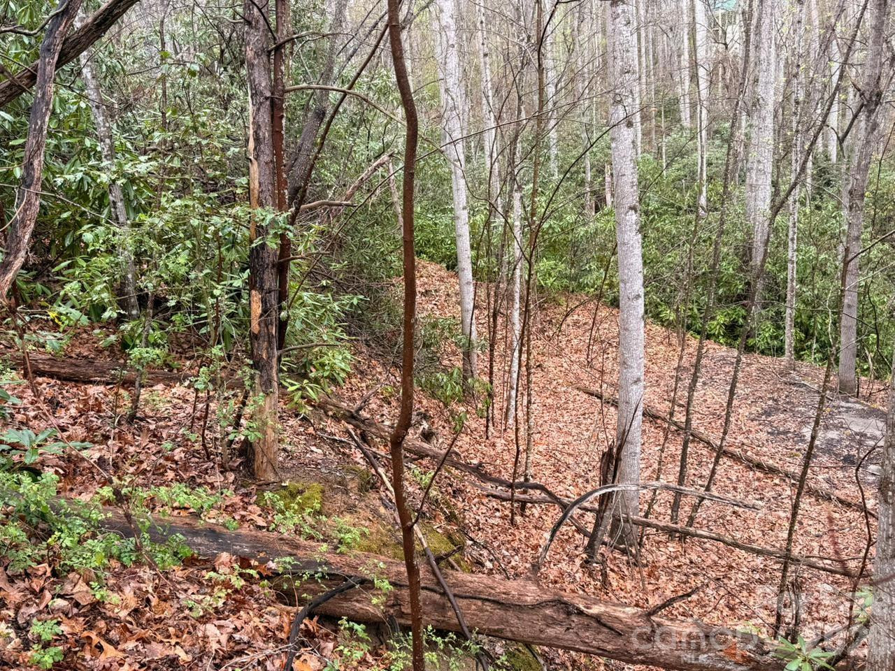 000 Ridgeview Drive - Photo 9