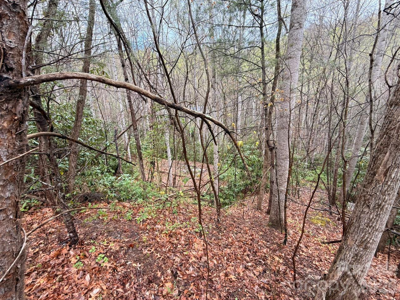 000 Ridgeview Drive - Photo 10