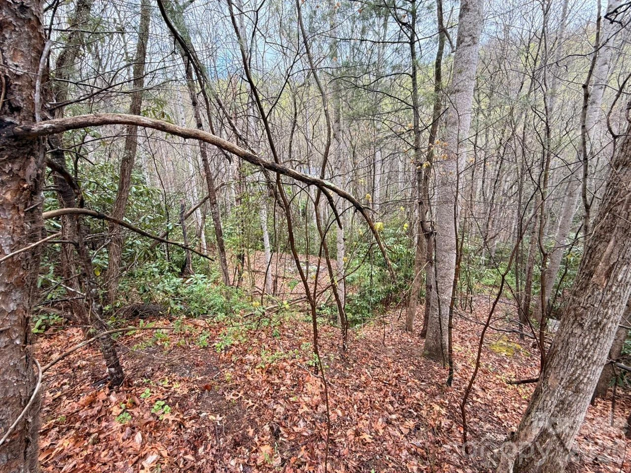 000 Ridgeview Drive - Photo 10