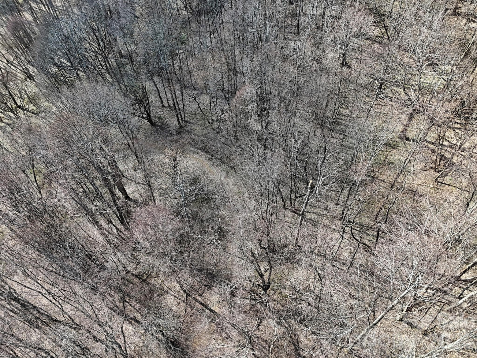 00 Neds Branch Road - Photo 5