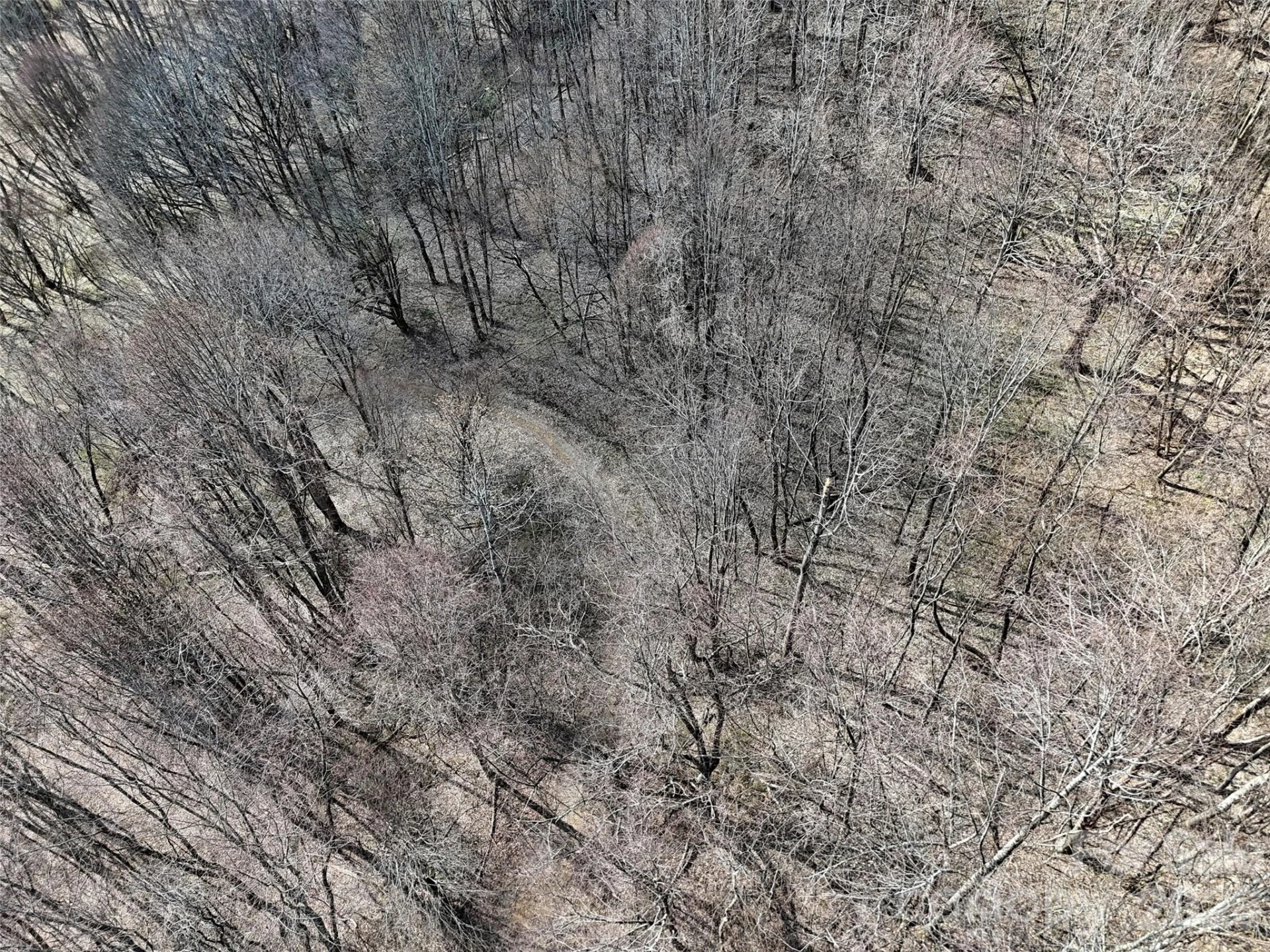 00 Neds Branch Road - Photo 5