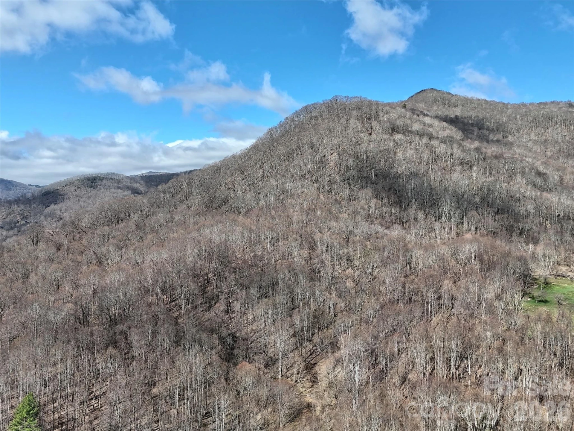 00 Neds Branch Road - Photo 7