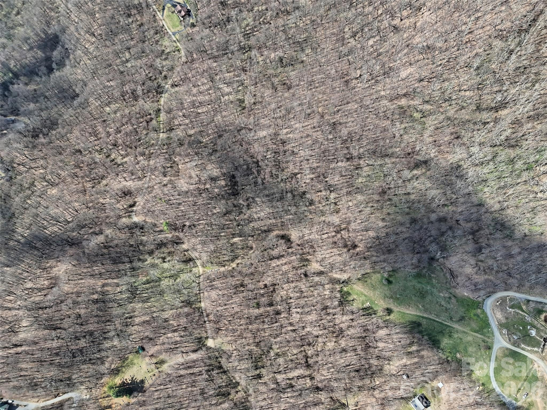 00 Neds Branch Road - Photo 8
