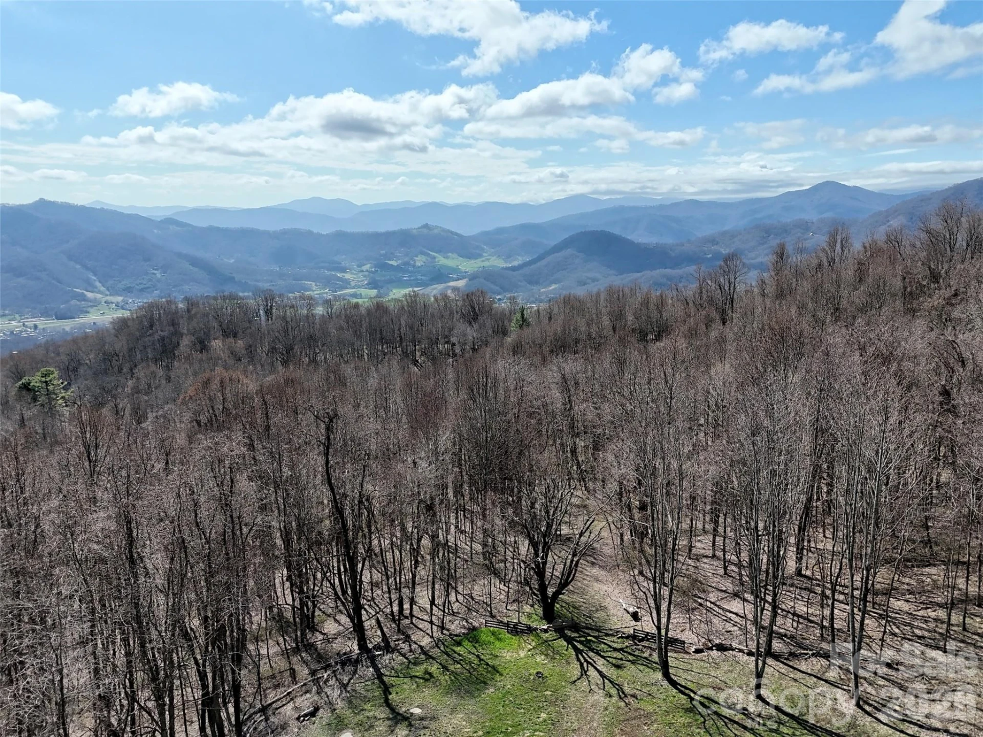 00 Neds Branch Road - Photo 10