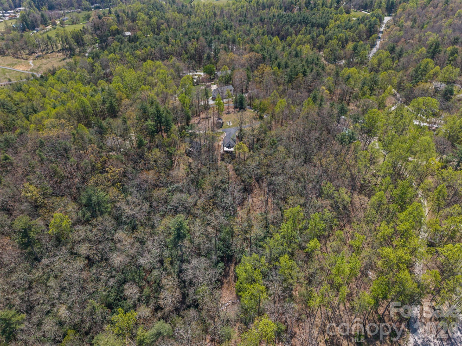 156 Ellerslie Acre None - Photo 38