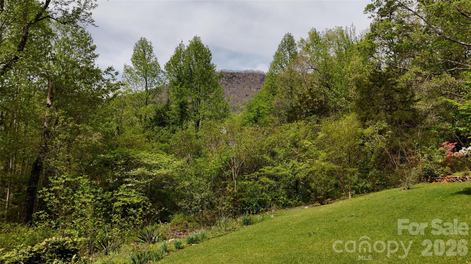 100 Woodmere Drive - Photo 20