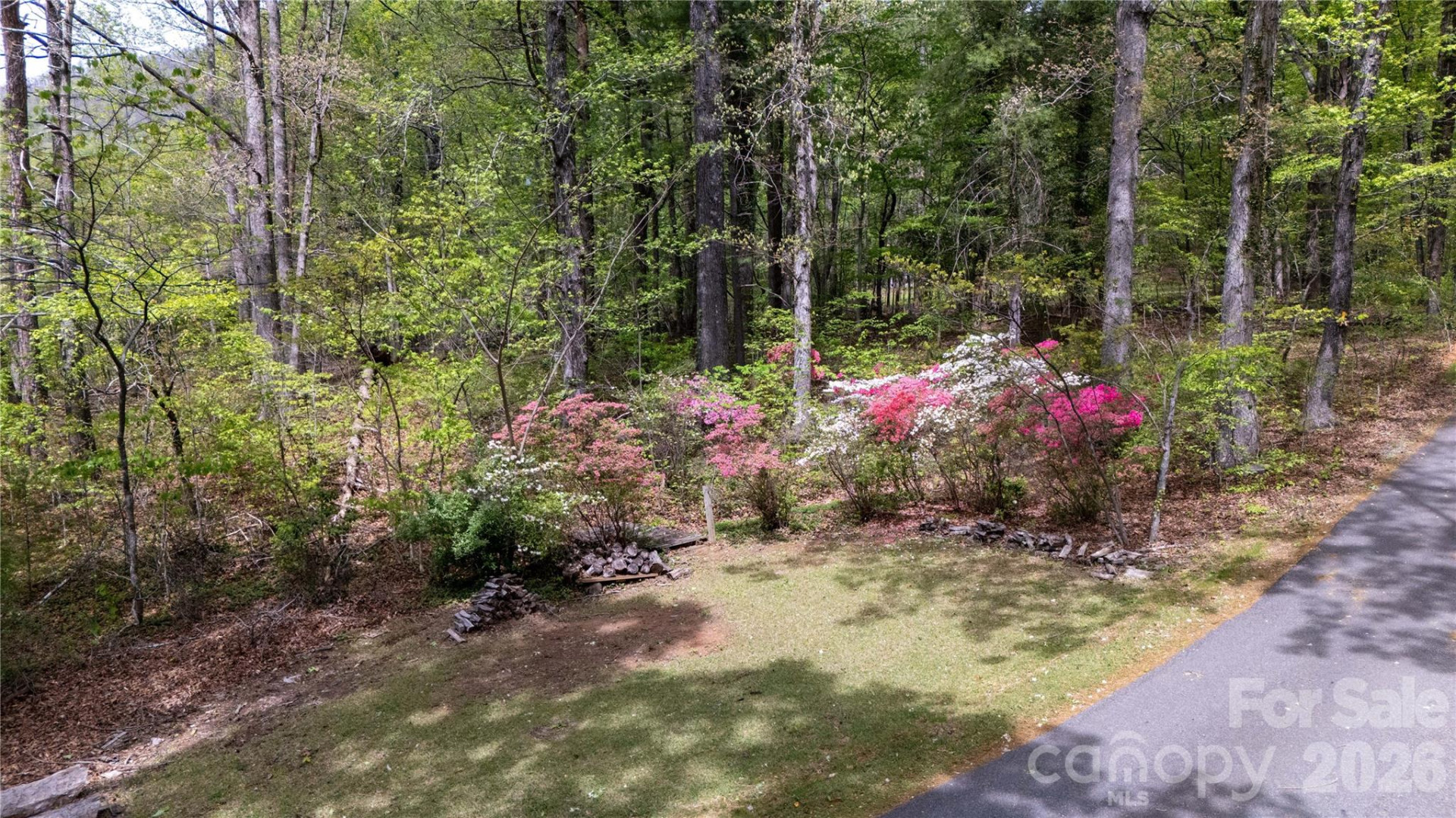 100 Woodmere Drive - Photo 6