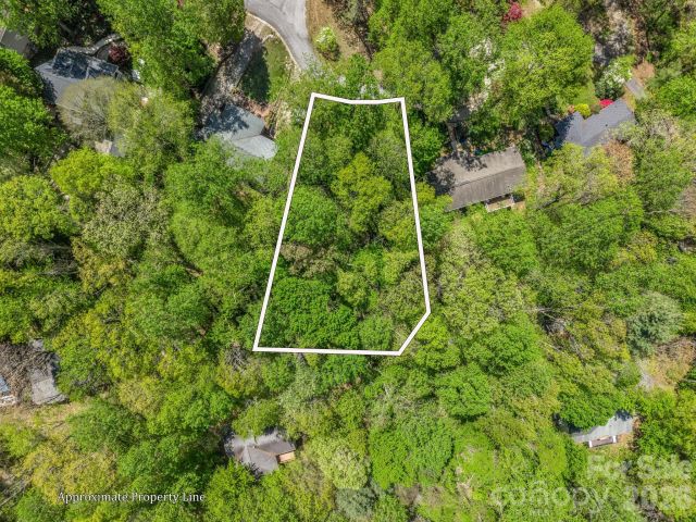 99999 Mountain Site Lane, Asheville, NC, 28803