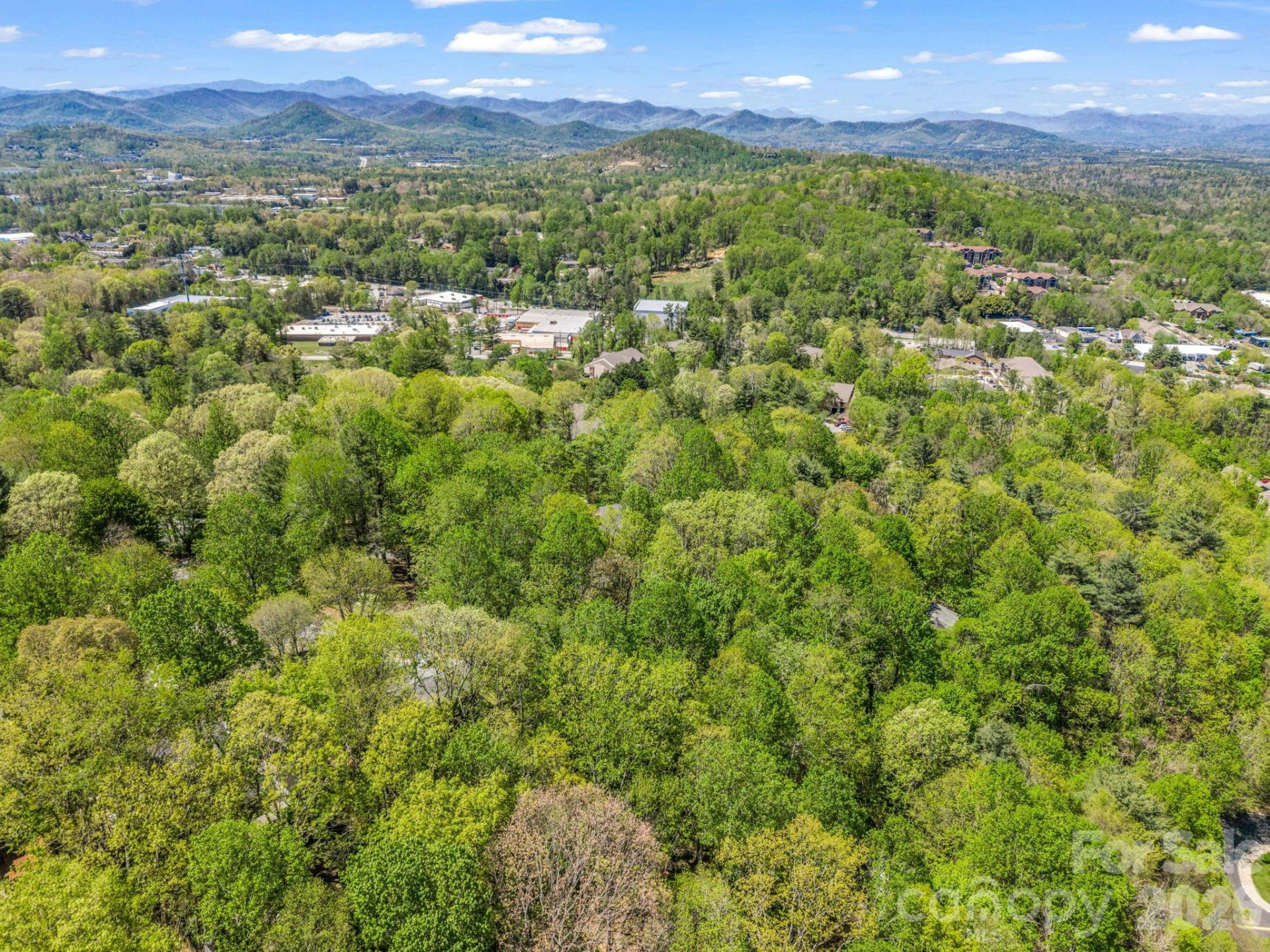 99999 Mountain Site Lane - Photo 24