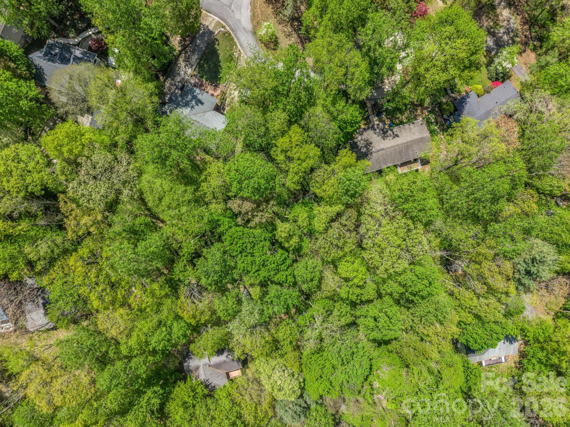 99999 Mountain Site Lane - Photo 27