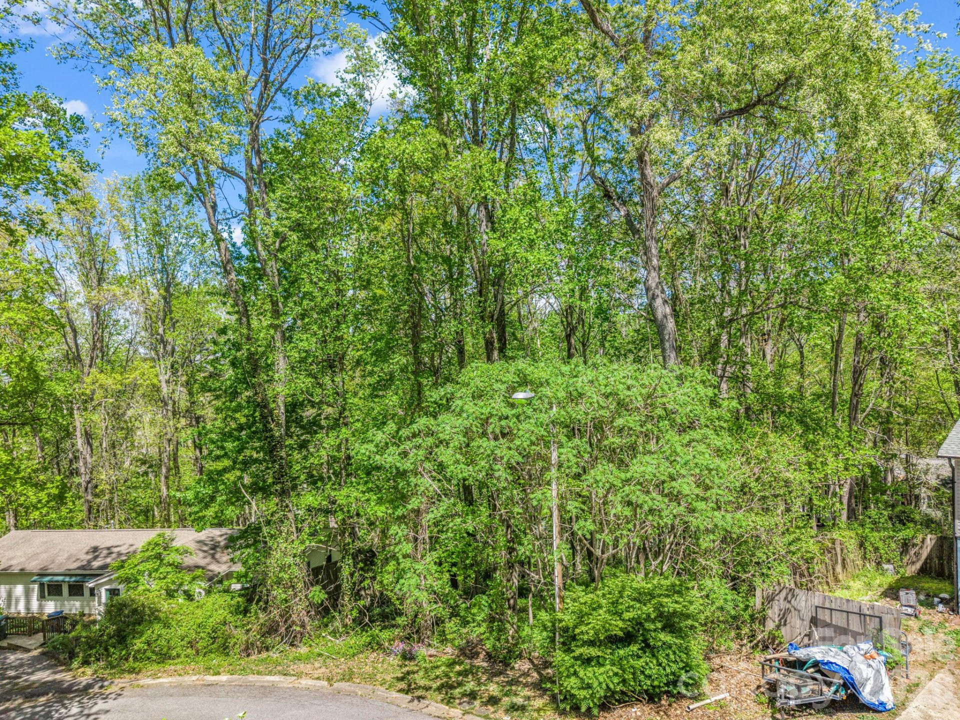 99999 Mountain Site Lane - Photo 6