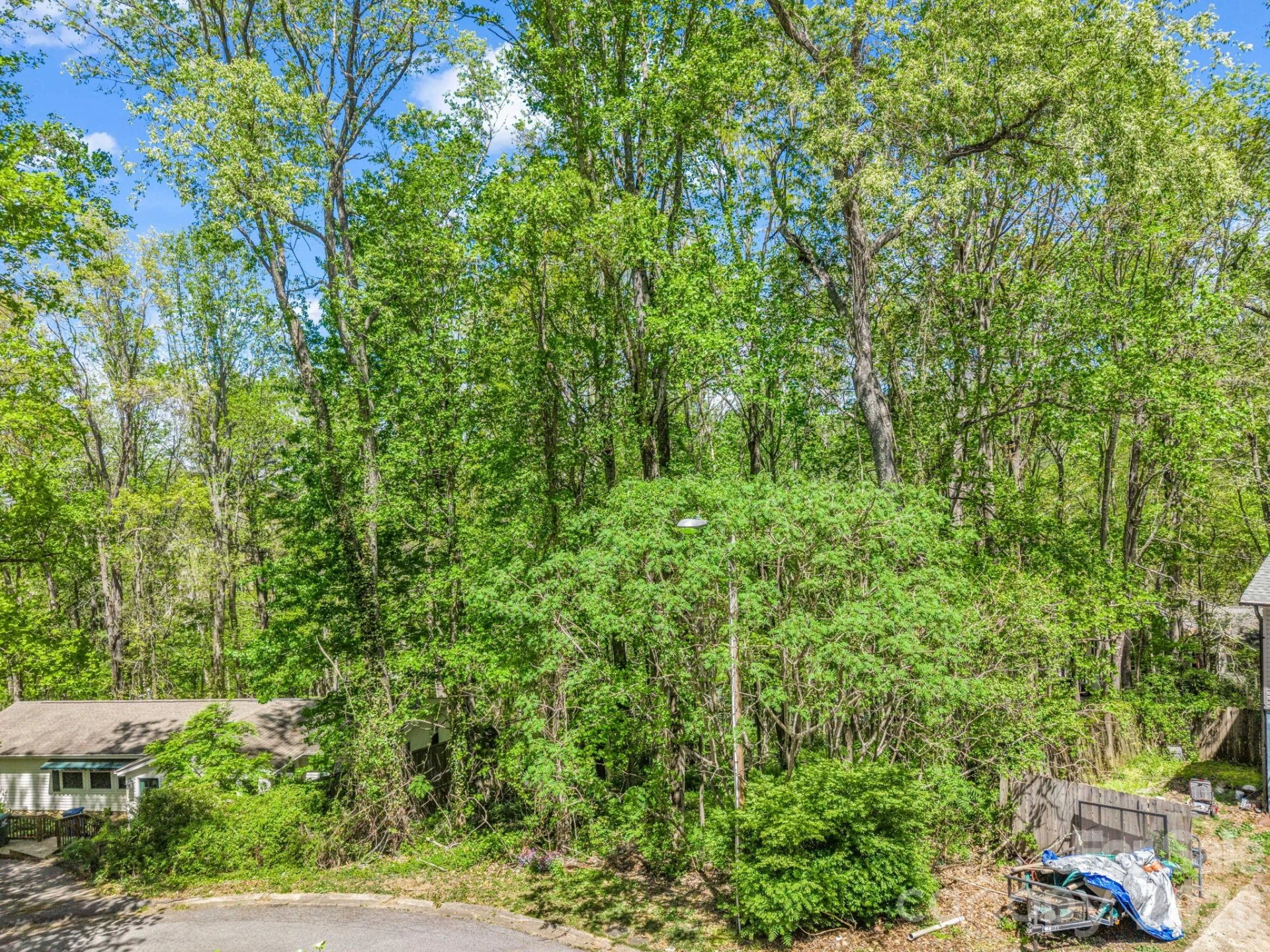 99999 Mountain Site Lane - Photo 6