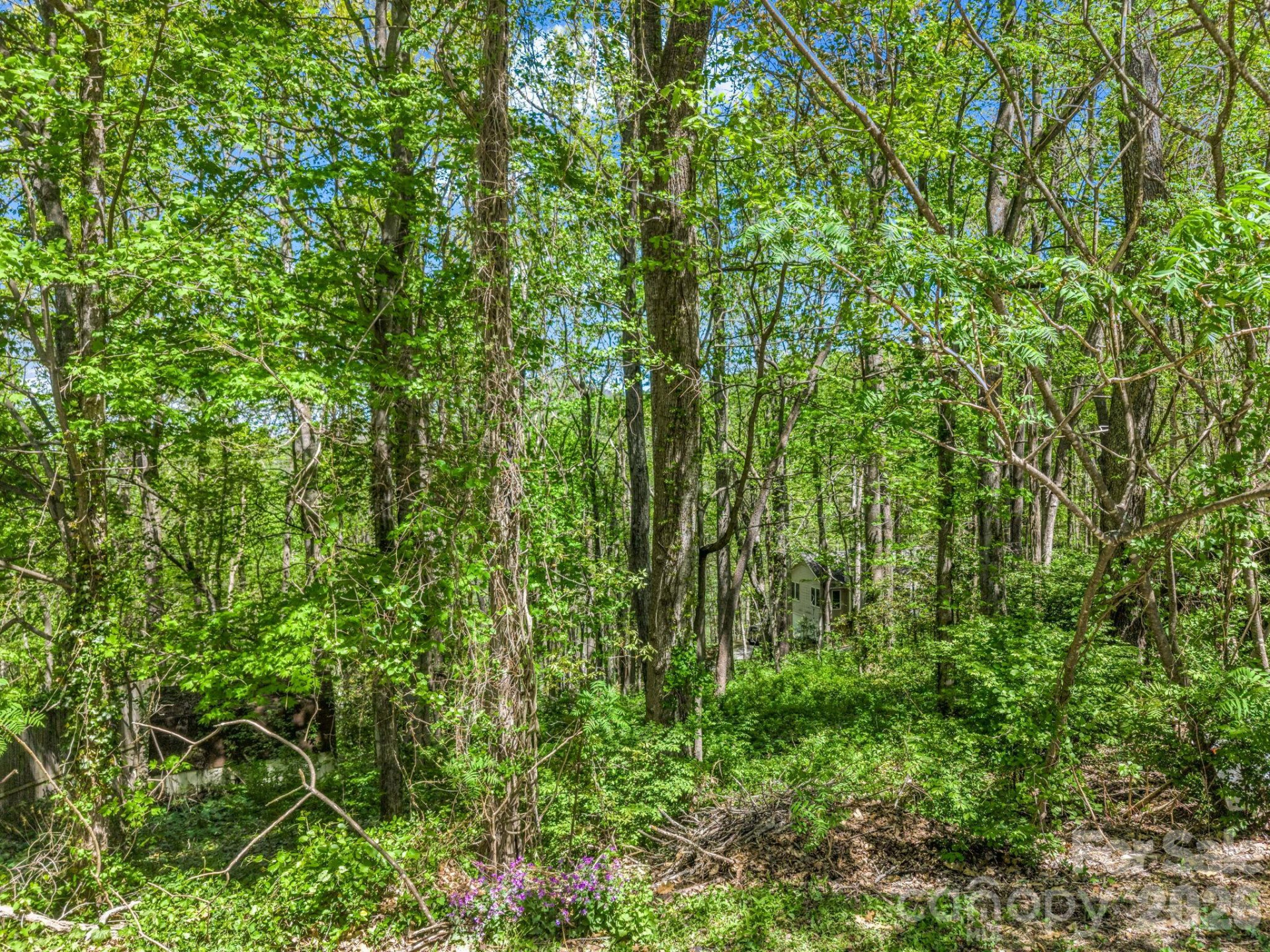 99999 Mountain Site Lane - Photo 7