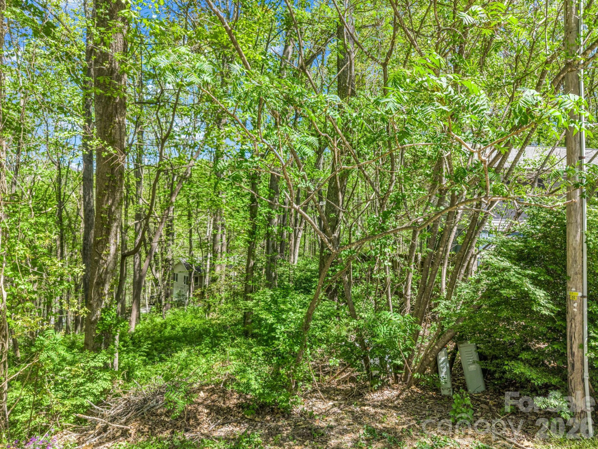 99999 Mountain Site Lane - Photo 8