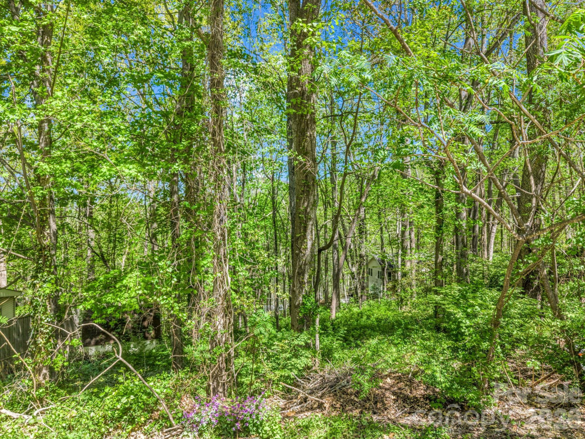 99999 Mountain Site Lane - Photo 9