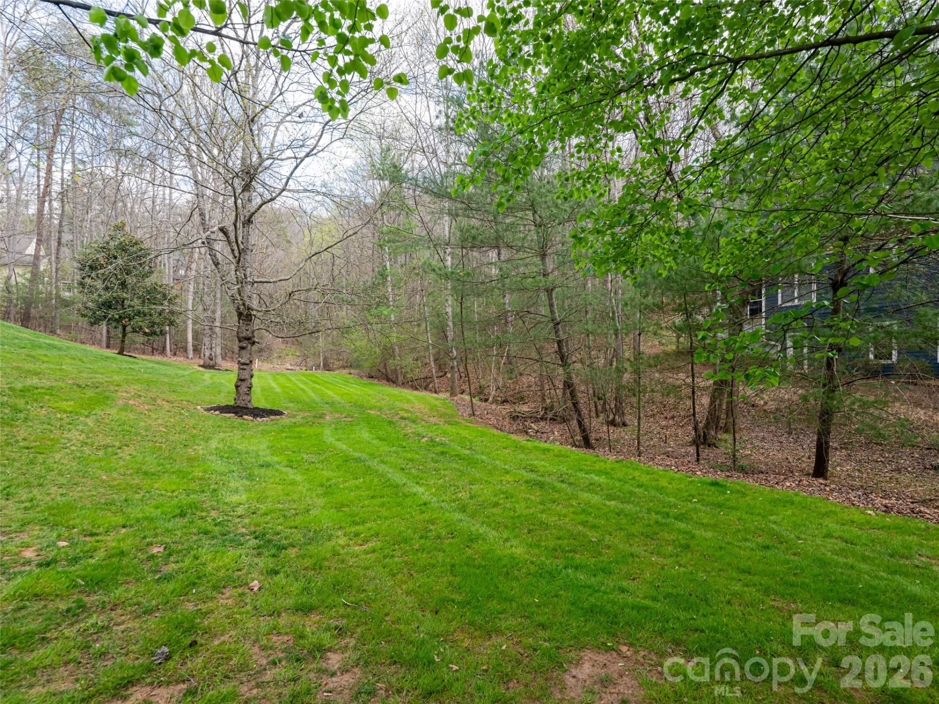 67 White Ash Drive - Photo 38
