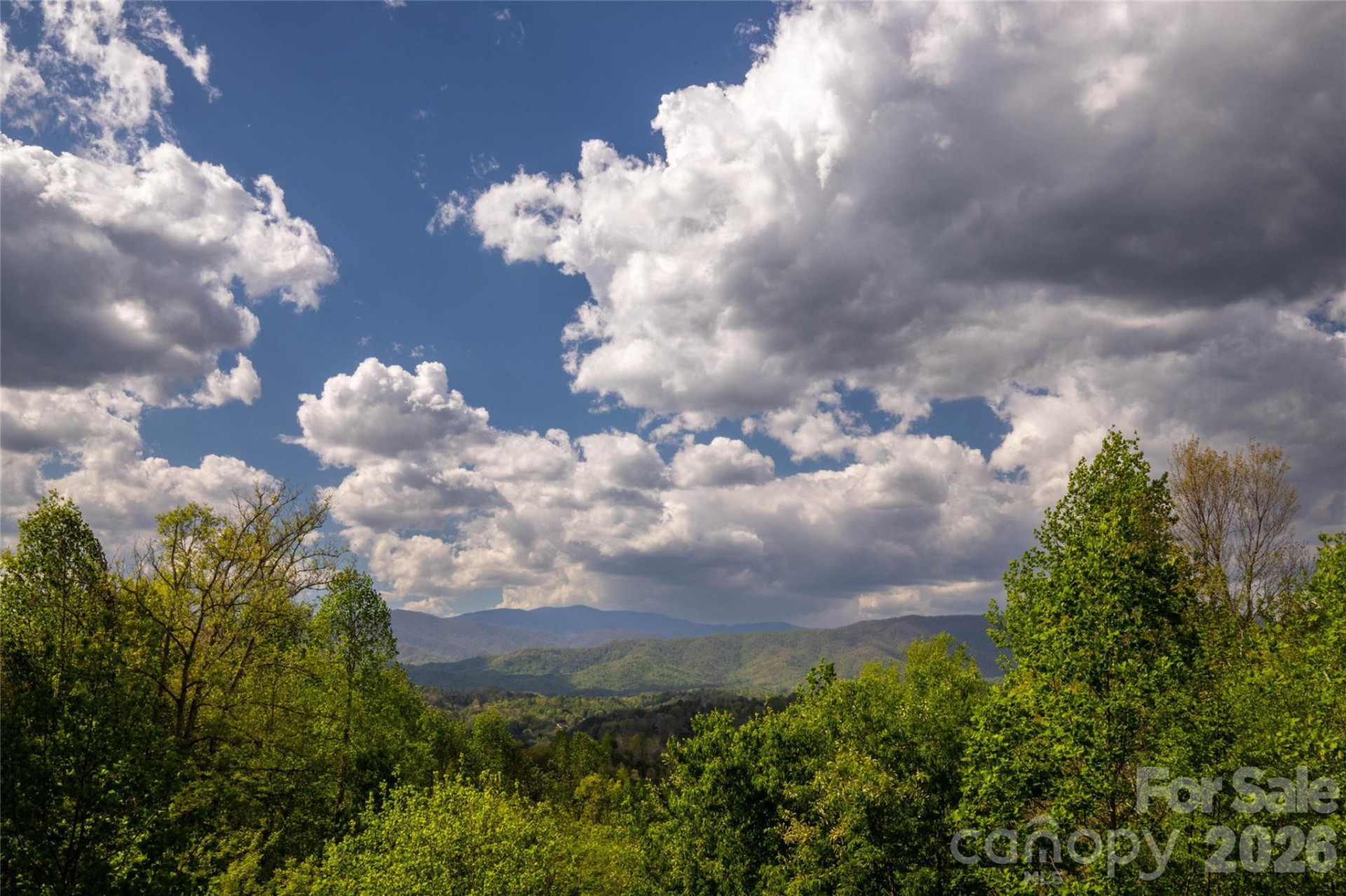 219 Sandalwood Drive - Photo 7