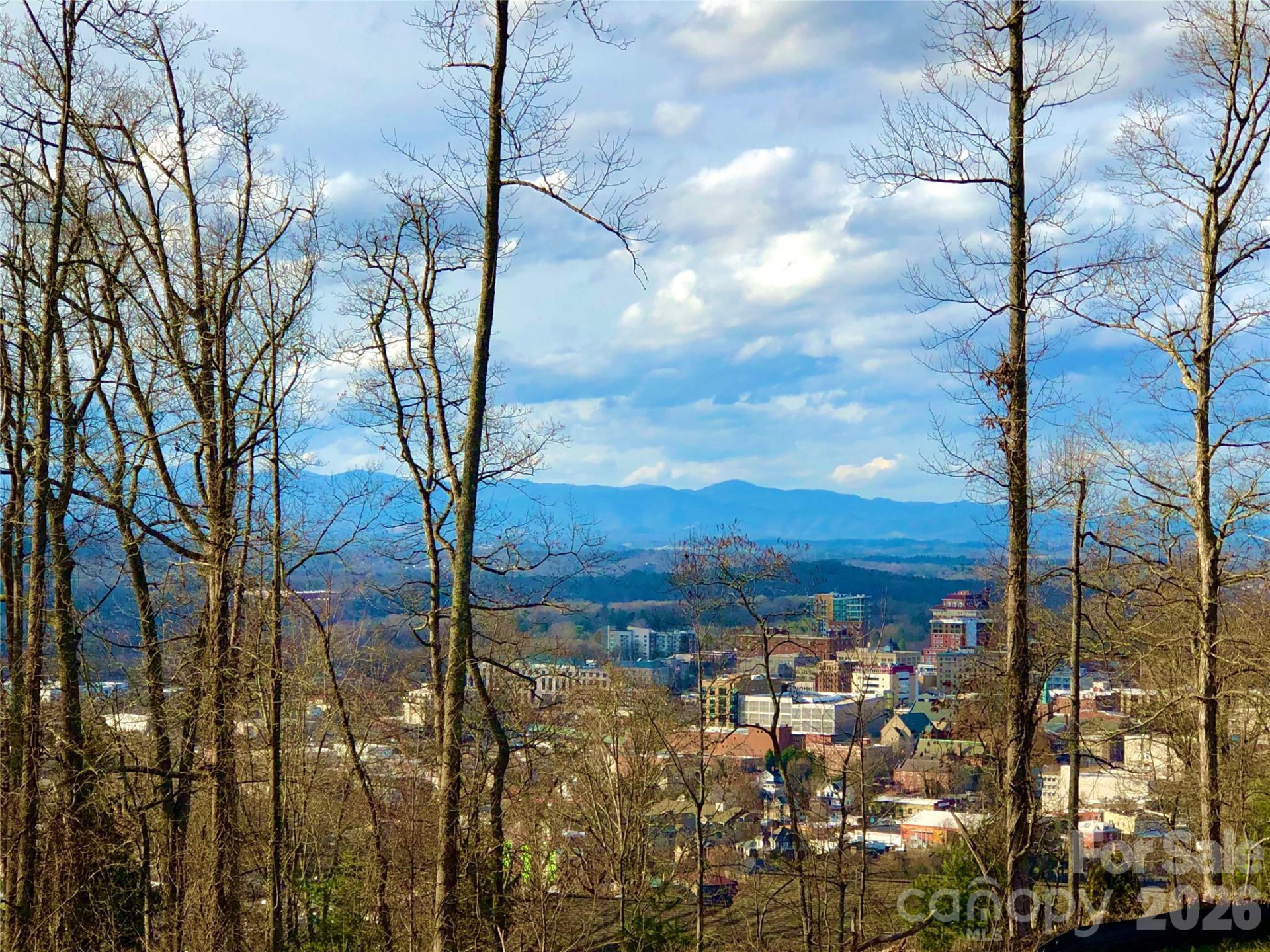 106 McCauley Drive - Photo 38