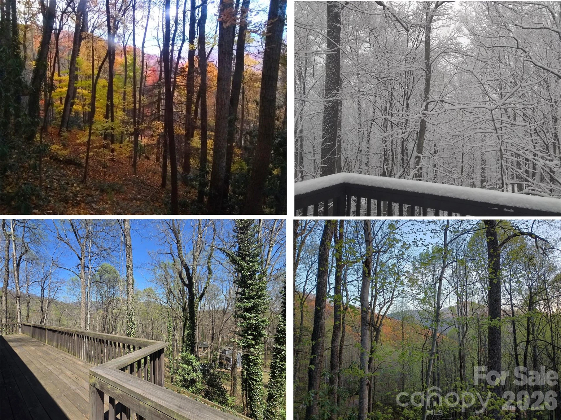 662 Locust Drive - Photo 29